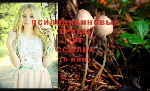 ГАЛЛЮЦИНОГЕННЫЕ ГРИБЫ Алексеевка