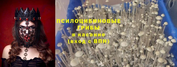 ГАЛЛЮЦИНОГЕННЫЕ ГРИБЫ Алексеевка