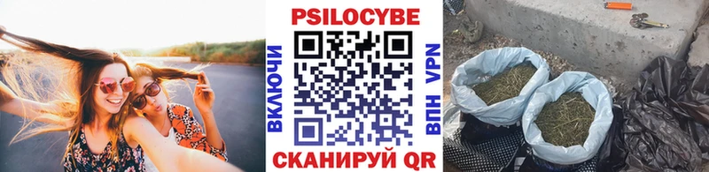 Галлюциногенные грибы GOLDEN TEACHER  darknet какой сайт  Мамадыш 